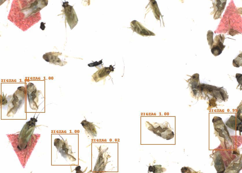 Fullscreen Image