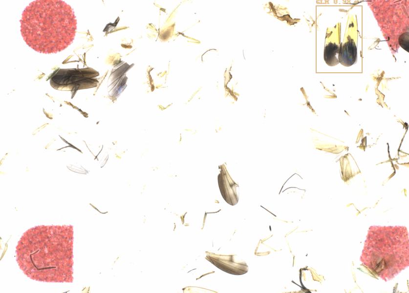 Fullscreen Image