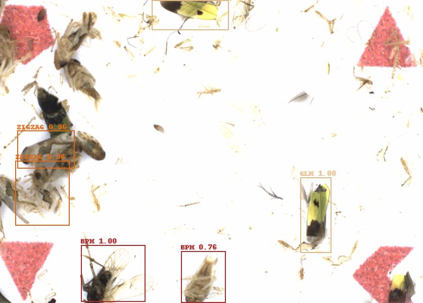 Fullscreen Image