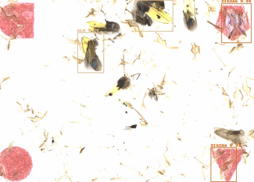 Fullscreen Image