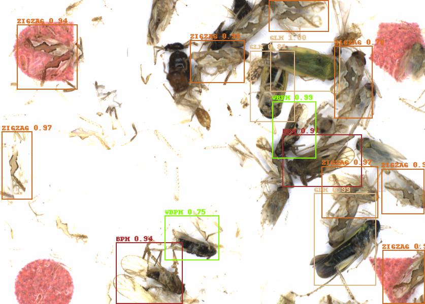 Fullscreen Image