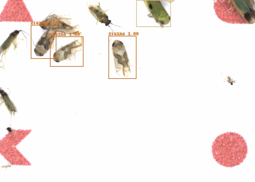 Fullscreen Image