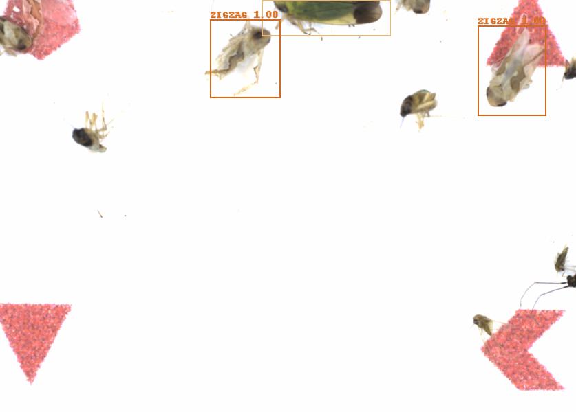 Fullscreen Image