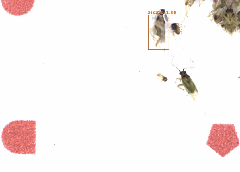 Fullscreen Image