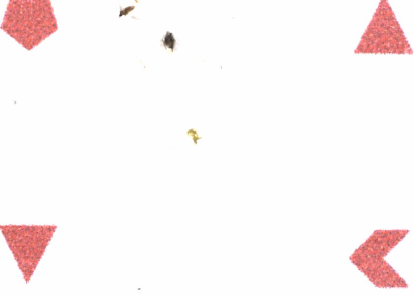 Fullscreen Image