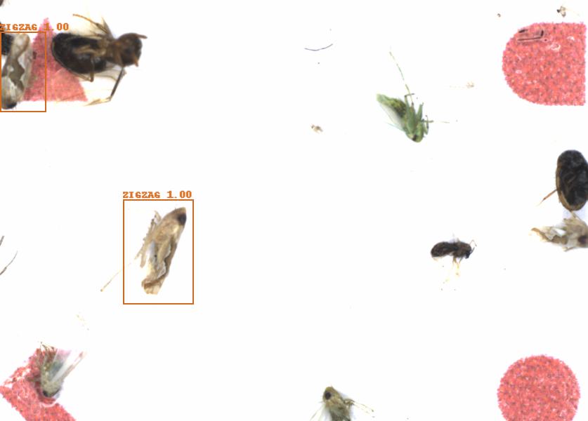 Fullscreen Image