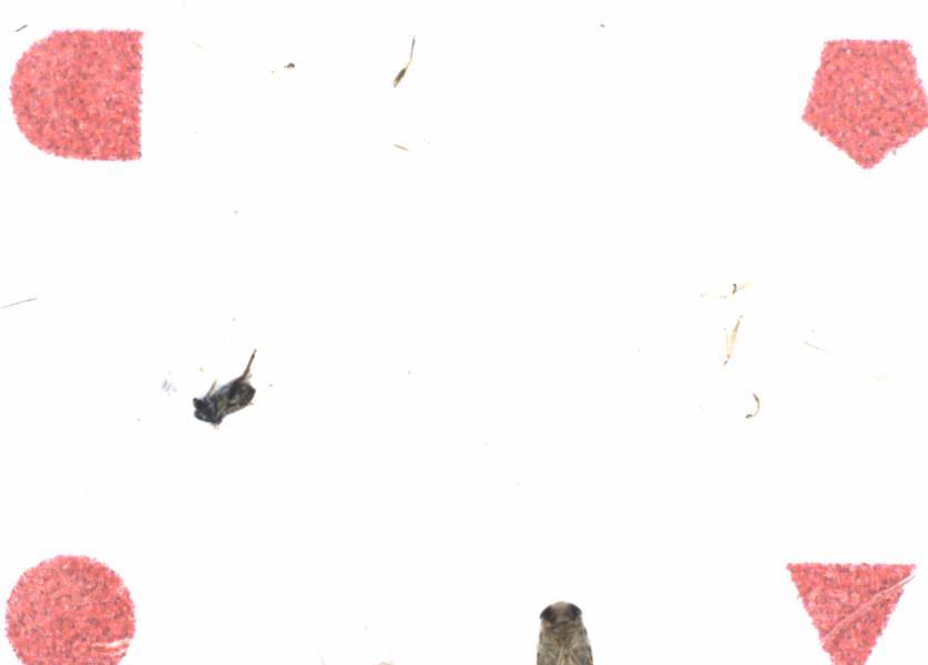 Fullscreen Image