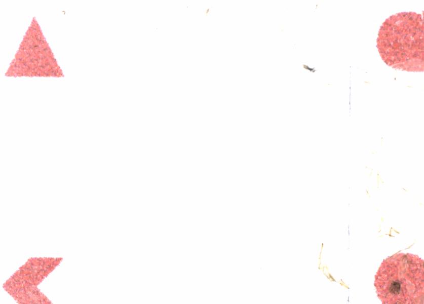 Fullscreen Image