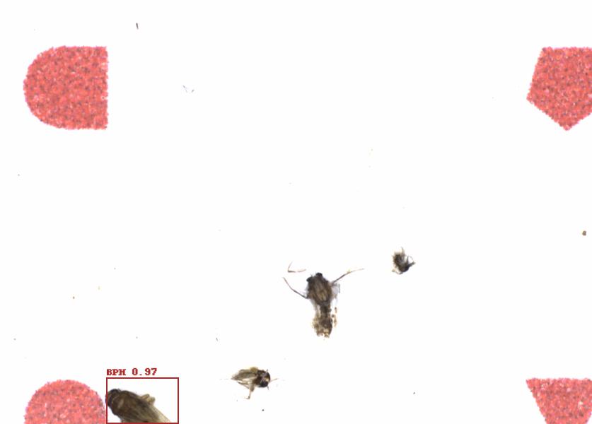 Fullscreen Image