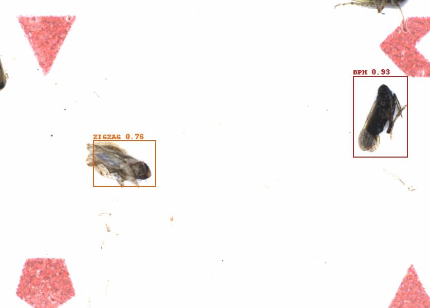 Fullscreen Image