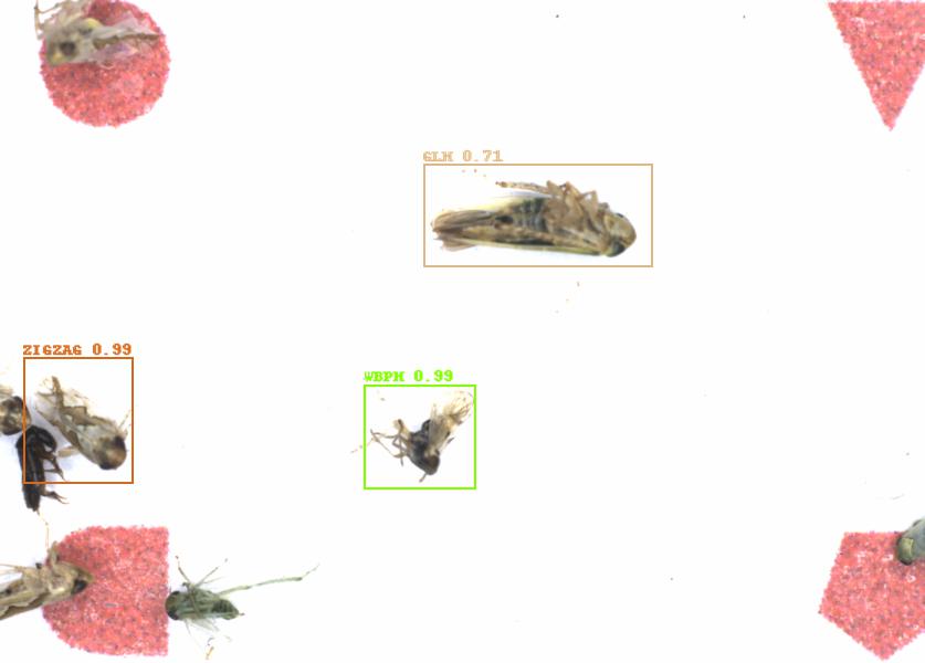 Fullscreen Image