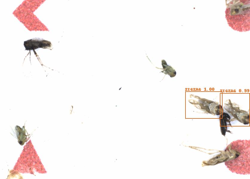 Fullscreen Image