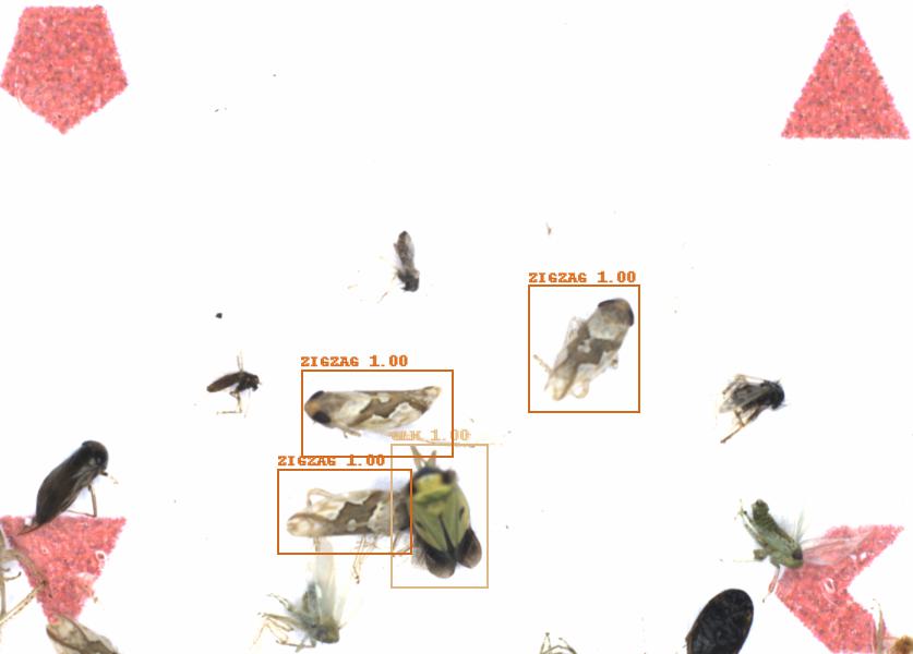 Fullscreen Image