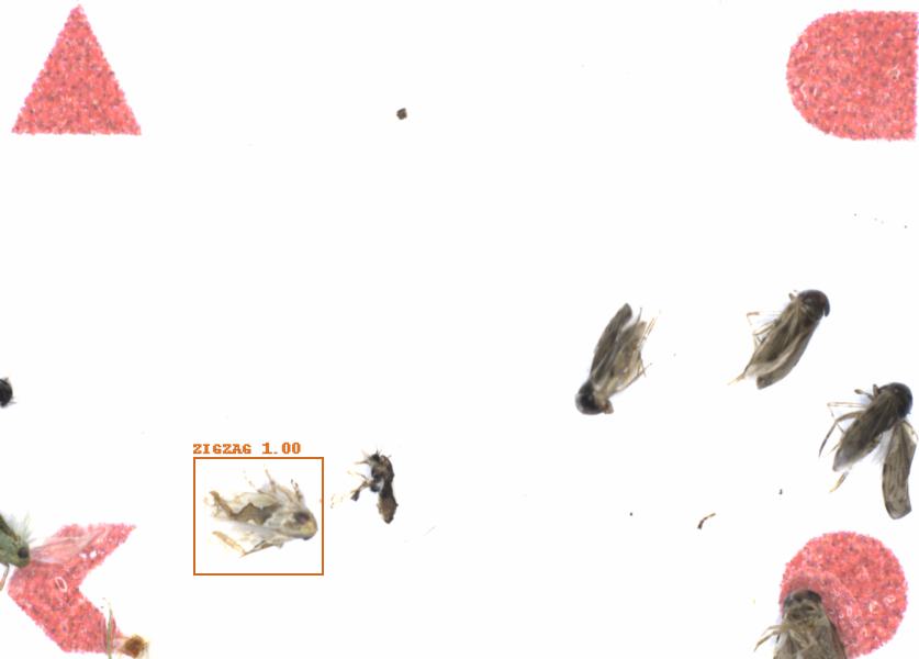 Fullscreen Image