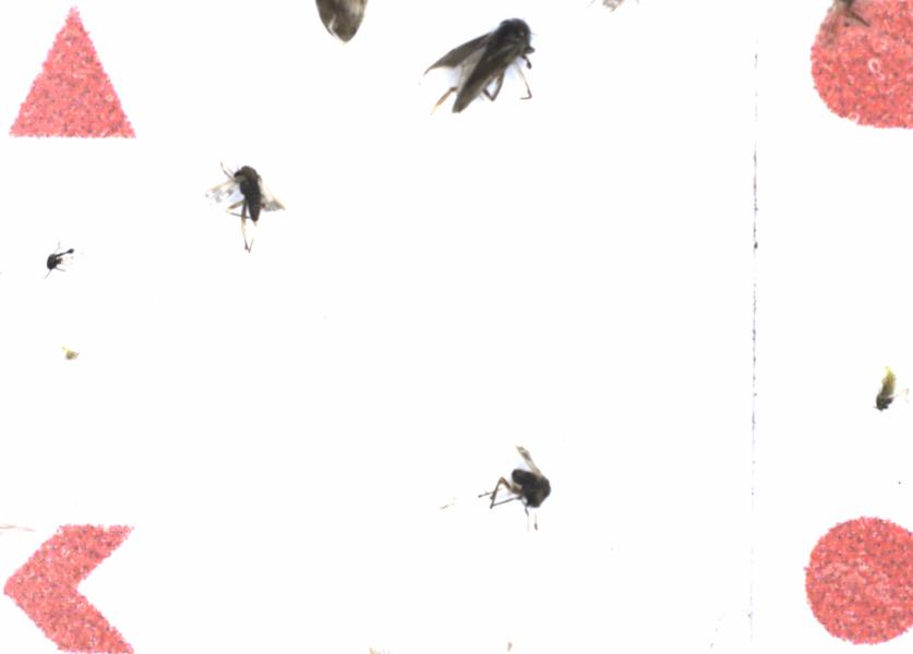 Fullscreen Image
