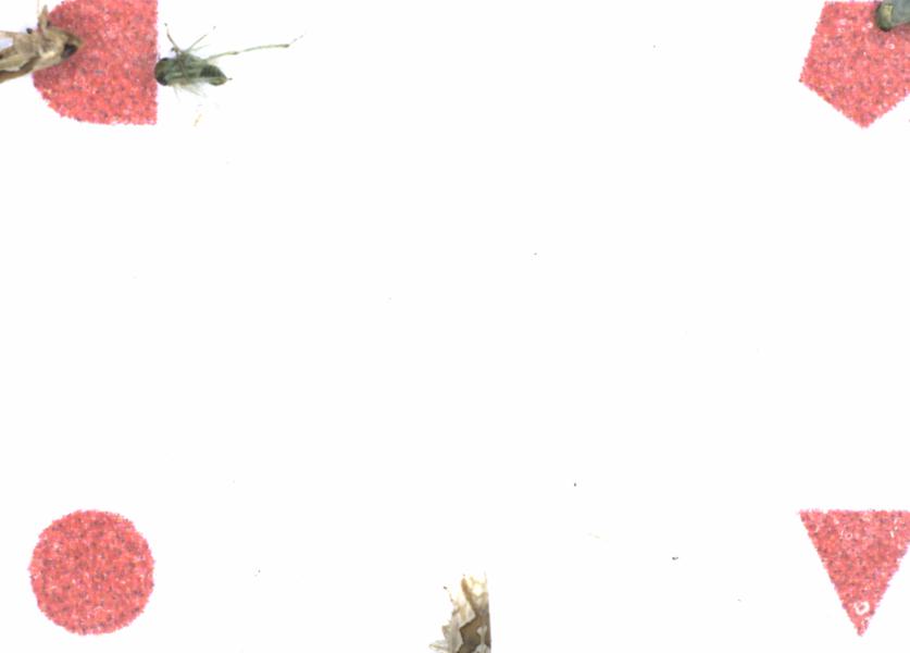 Fullscreen Image