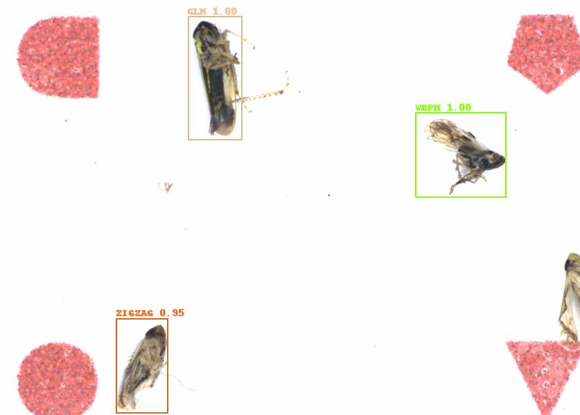 Fullscreen Image