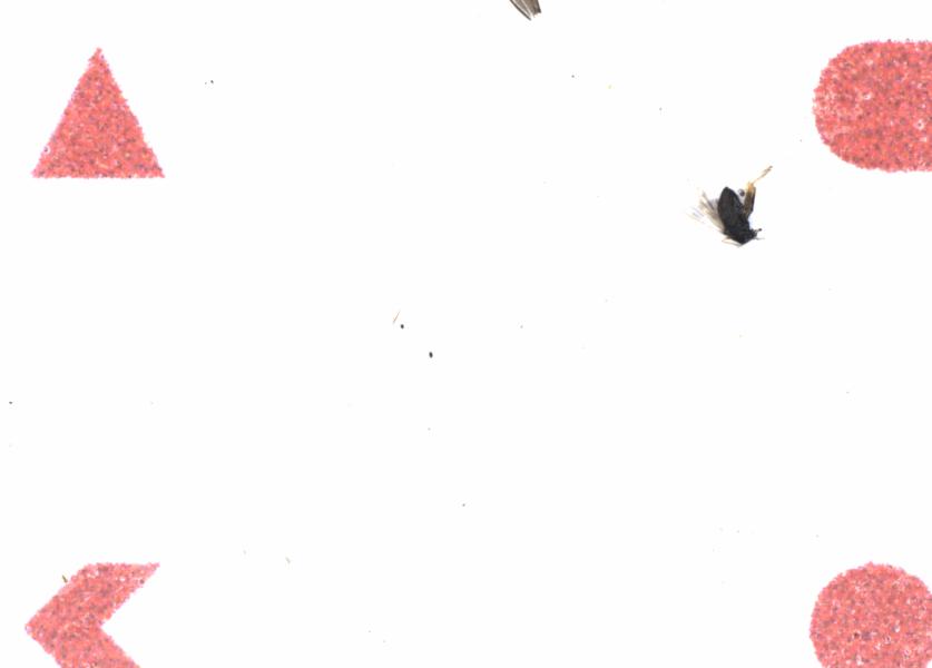 Fullscreen Image
