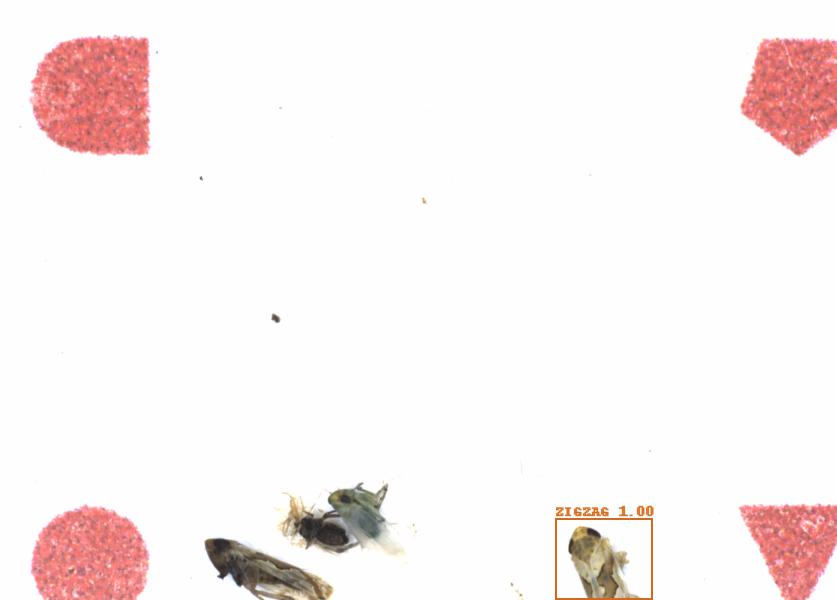 Fullscreen Image