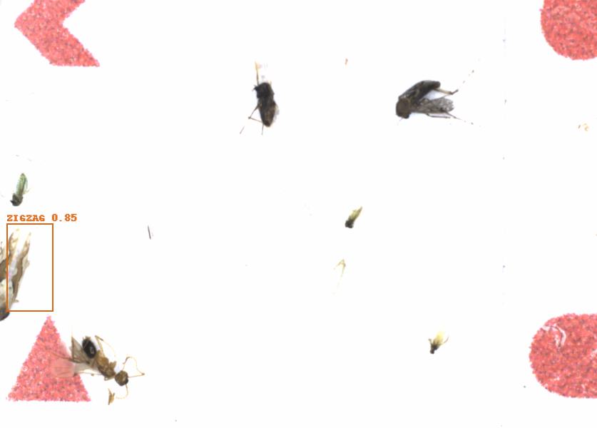 Fullscreen Image