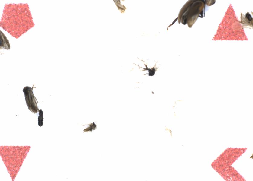Fullscreen Image