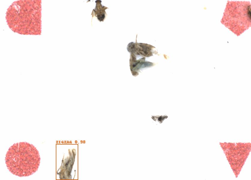 Fullscreen Image
