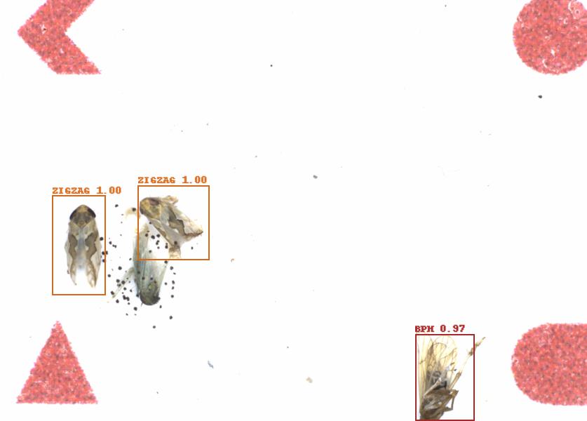 Fullscreen Image