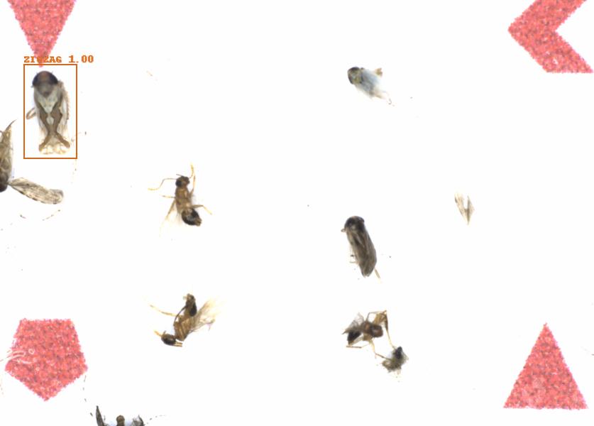 Fullscreen Image