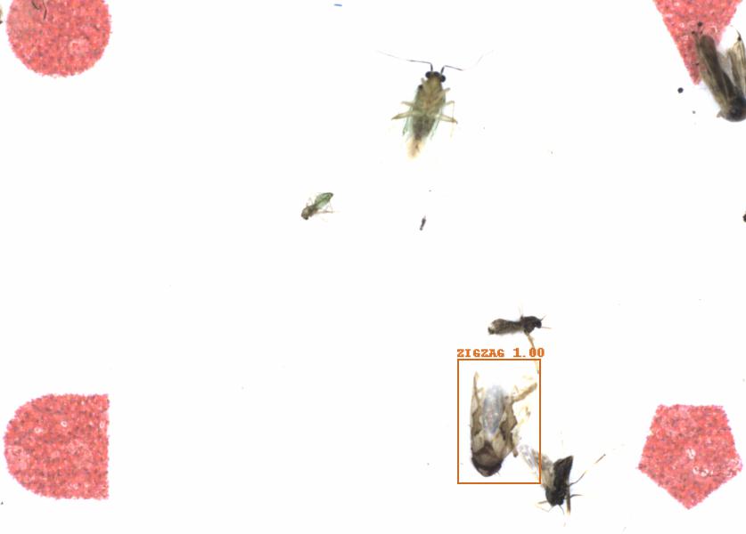 Fullscreen Image
