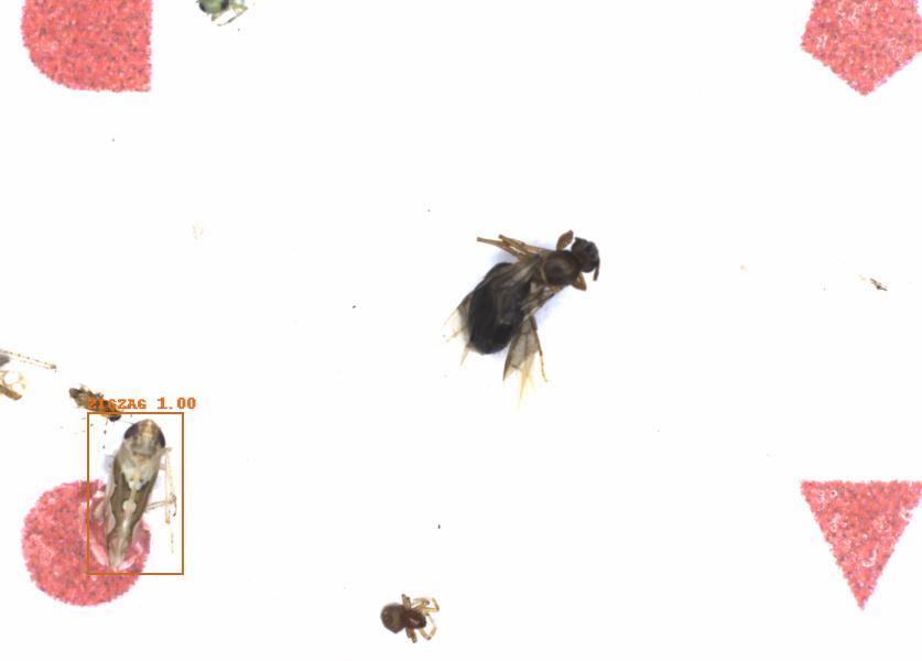 Fullscreen Image