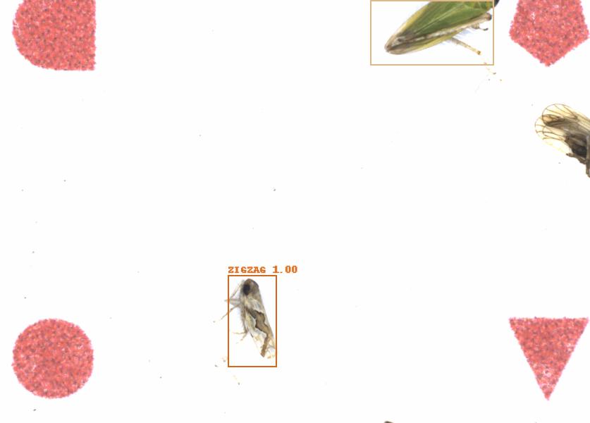 Fullscreen Image