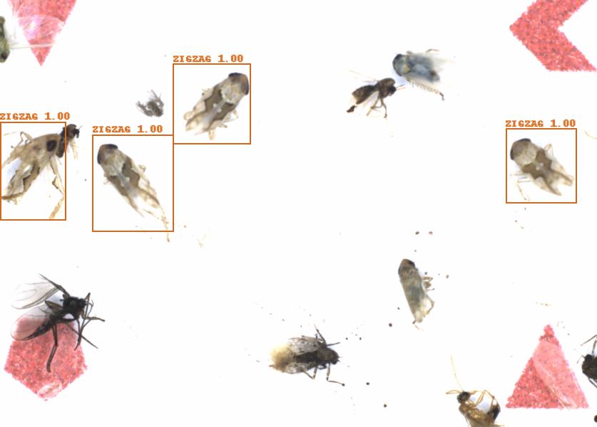 Fullscreen Image