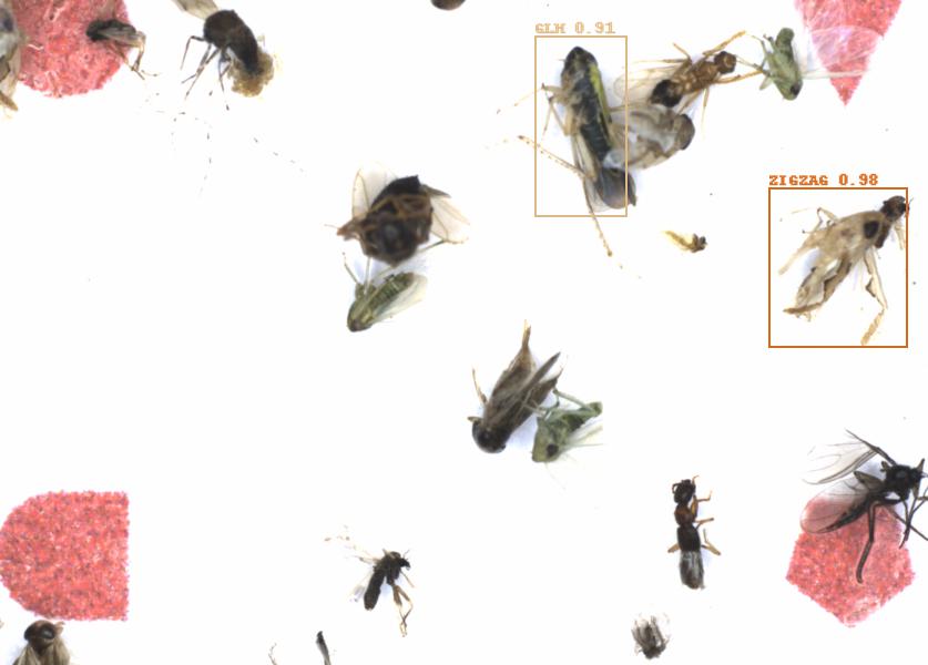 Fullscreen Image