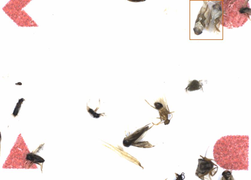 Fullscreen Image