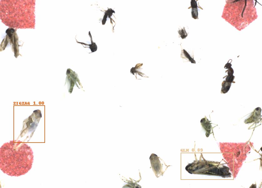 Fullscreen Image