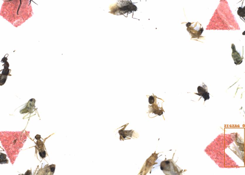 Fullscreen Image