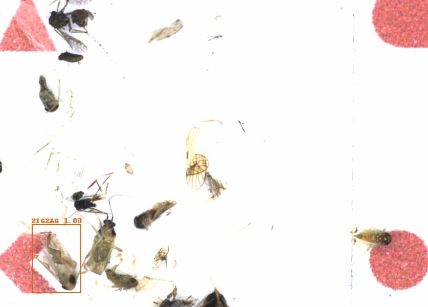 Fullscreen Image