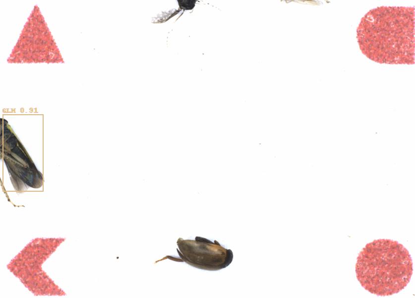 Fullscreen Image