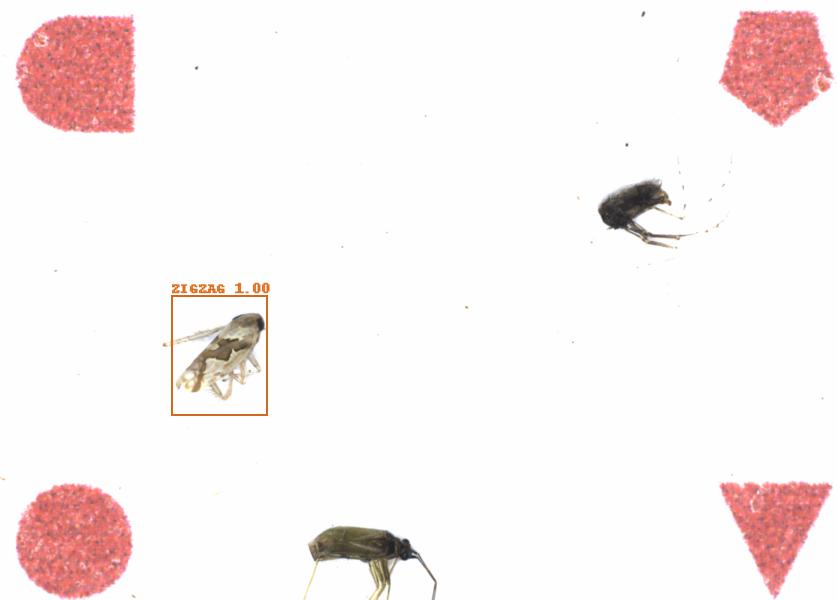 Fullscreen Image