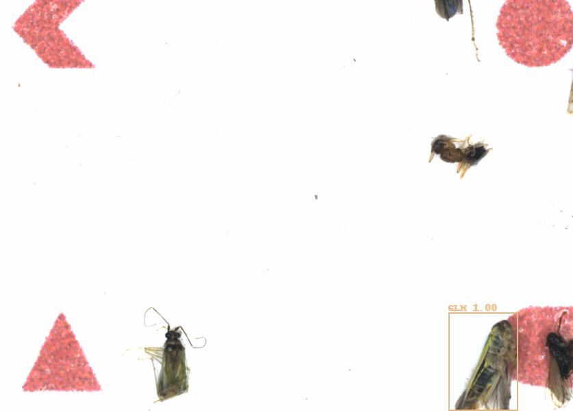 Fullscreen Image