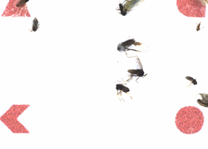 Fullscreen Image