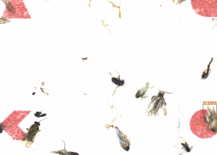 Fullscreen Image