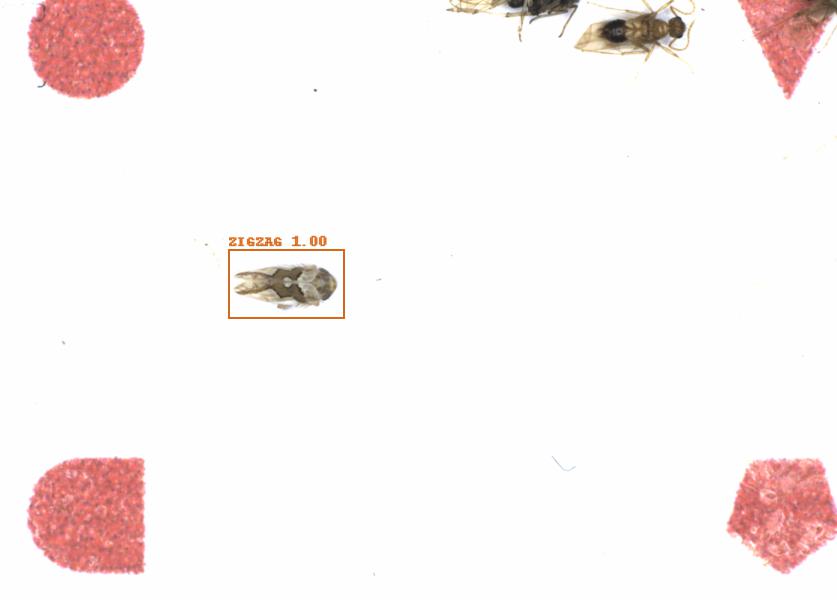 Fullscreen Image