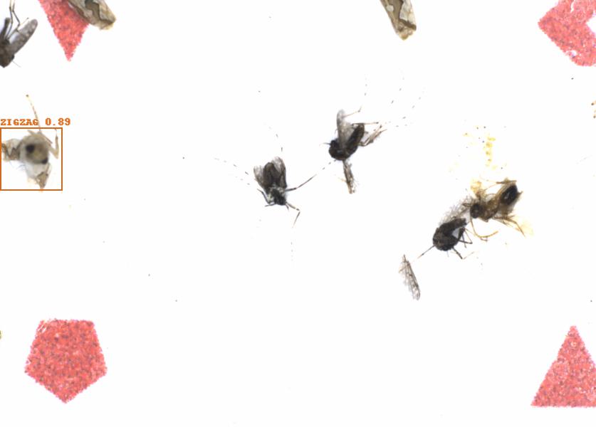 Fullscreen Image