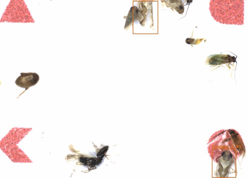 Fullscreen Image