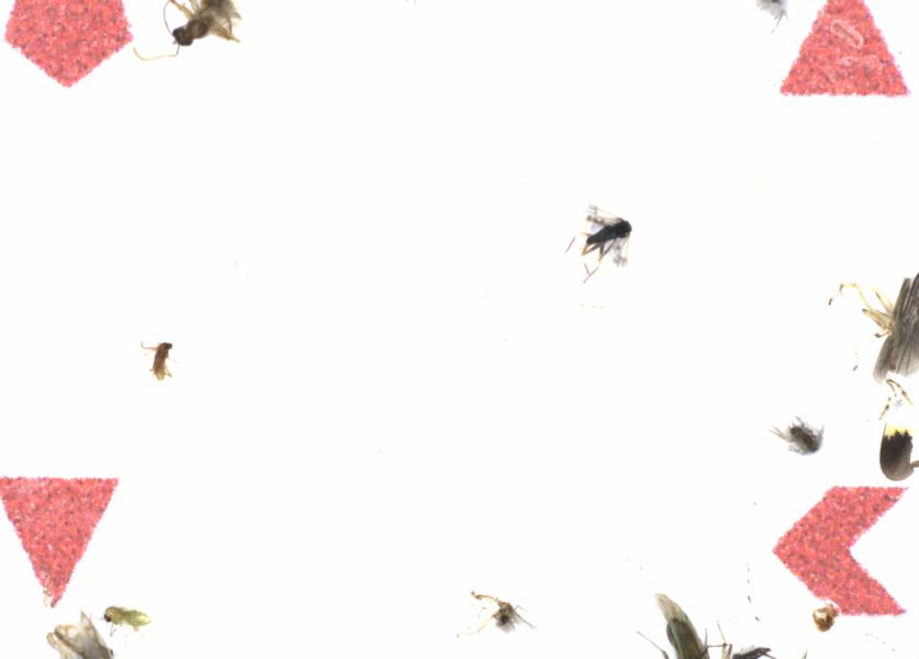 Fullscreen Image