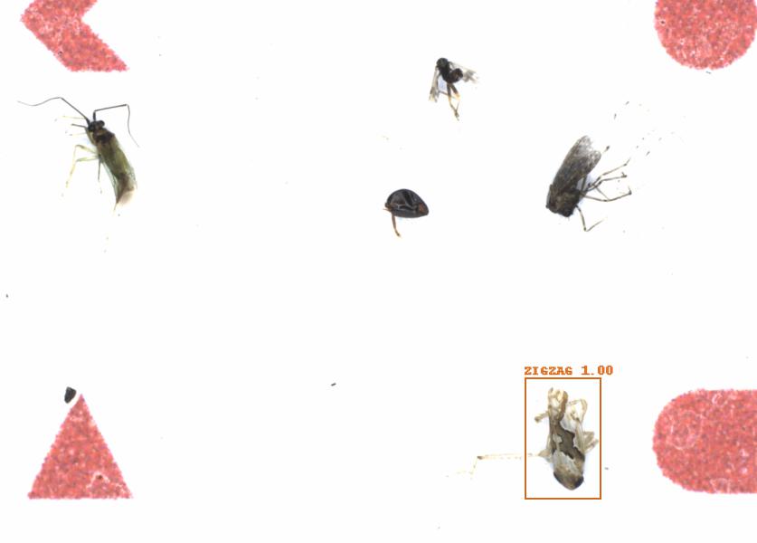 Fullscreen Image