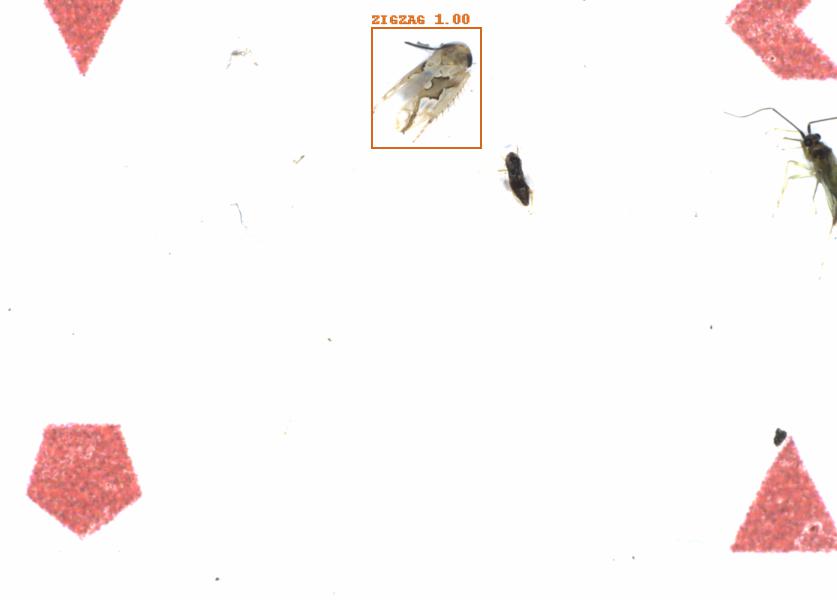 Fullscreen Image