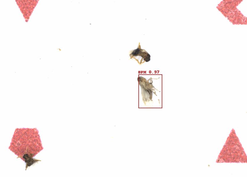 Fullscreen Image