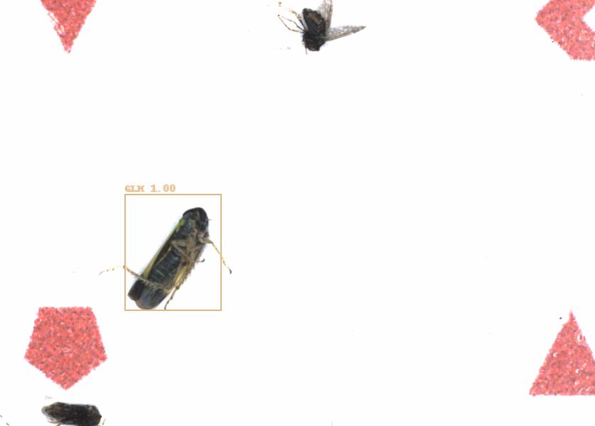 Fullscreen Image